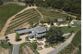 Los Gatos Luxury Vineyard